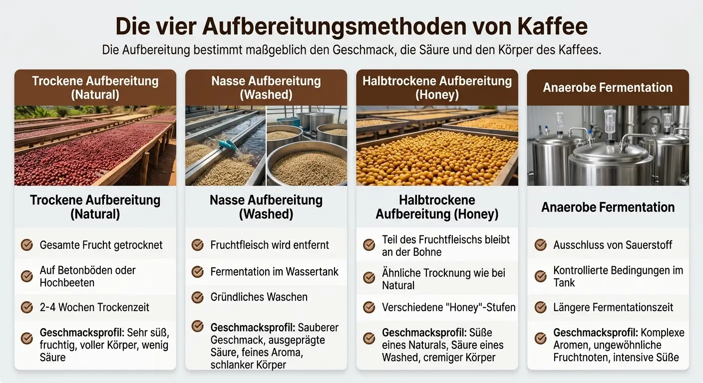 Infografik zu den 4 Aufbereitungsmethoden von Kaffee: Natural, Washed, Honey und Anaerobe Fermentation mit Prozessfotos und Geschmacksprofilen.