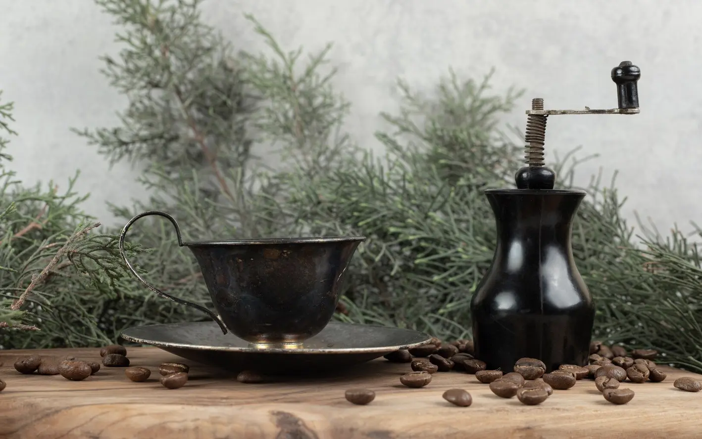 Grüne Kaffeepflanze mit reifen Arabica Kaffeekirschen während der Ernte in einer Plantage