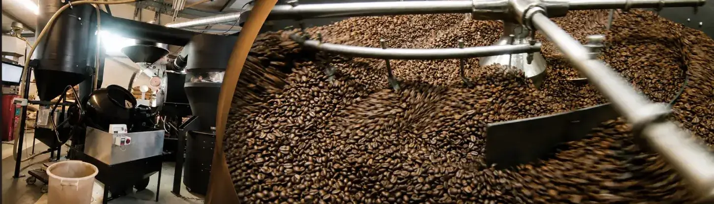 Innenansicht einer professionellen Kaffeeröstmaschine mit frischen Kaffeebohnen während des Röstprozesses.