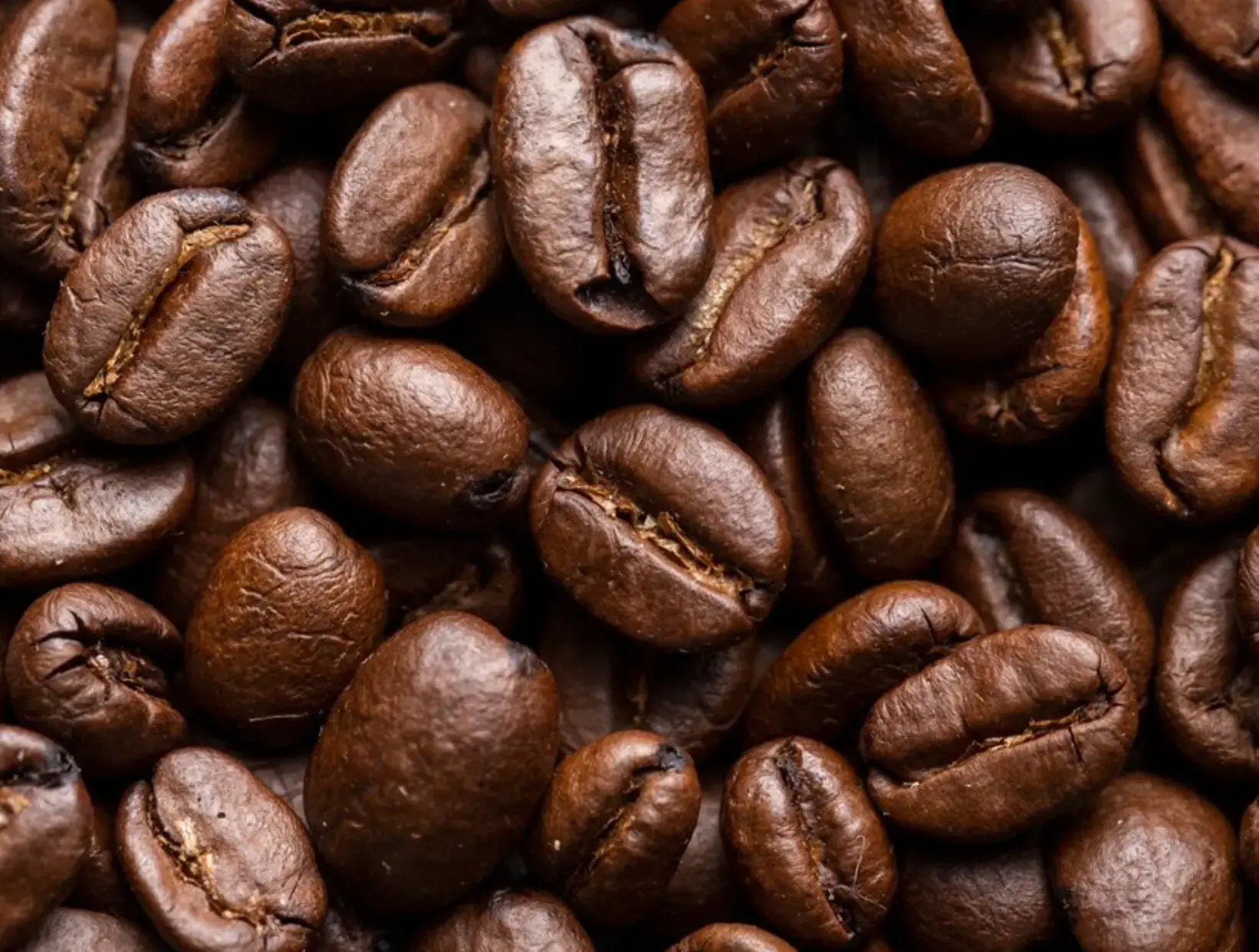 Verschiedene Kaffeebohnen für Kaffeemaschinen und Siebträger – frisch geröstet für intensiven Geschmack