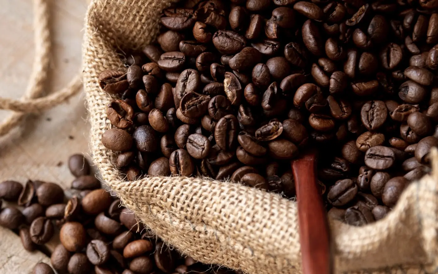 Arabica vs. Robusta: Der große Bohnen-Vergleich für Kaffeeliebhaber