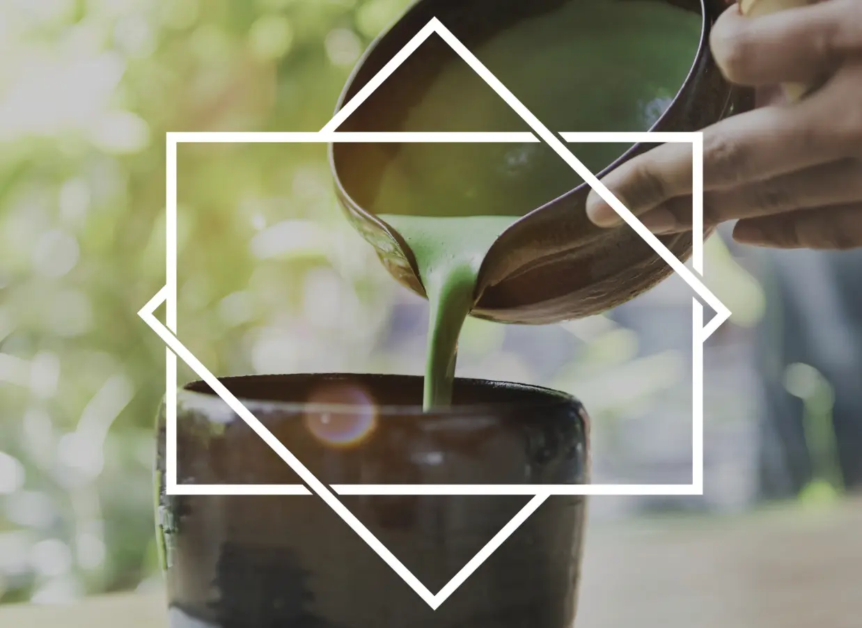 Vom-Forschungslabor-auf-die-Plantage-Kaffee-neu-gedacht