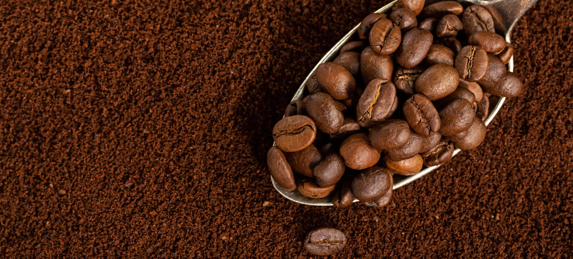 Kaffeesteuer in Europa: Warum Kaffee in Deutschland anders besteuert wird als in Nachbarländern