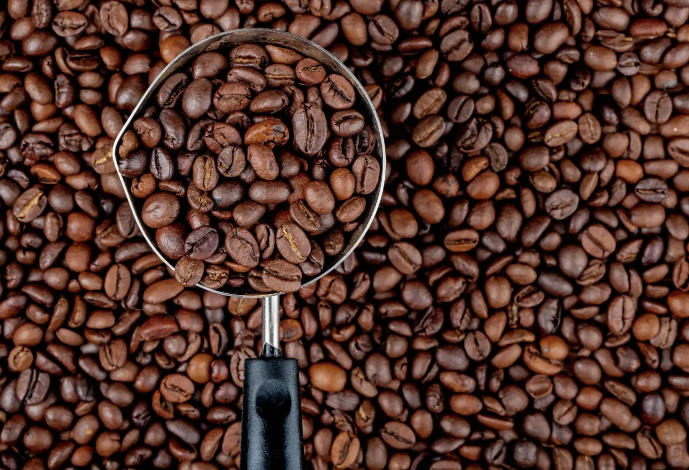 World-Coffee-Research
